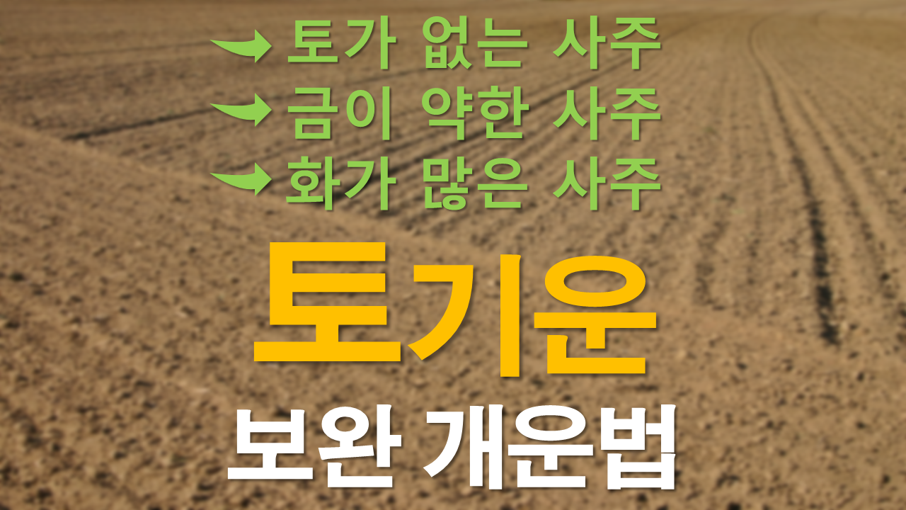 cd1295c7bf19b199538c98491e209a38_토기운 보완.png